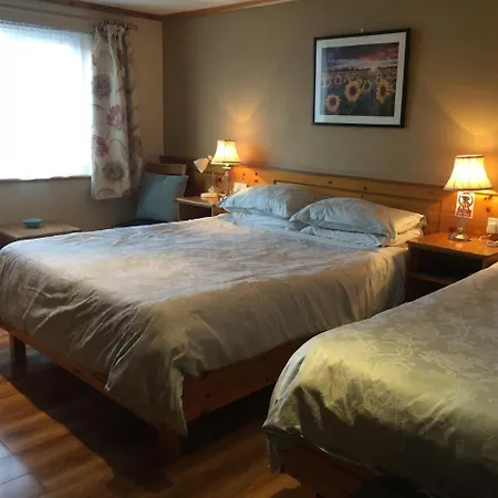 Bed & Breakfast Algret House Killarney